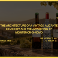 The Architecture of a Vintage: Alicante Bouschet and the Awakening of Montemor-o-Novo