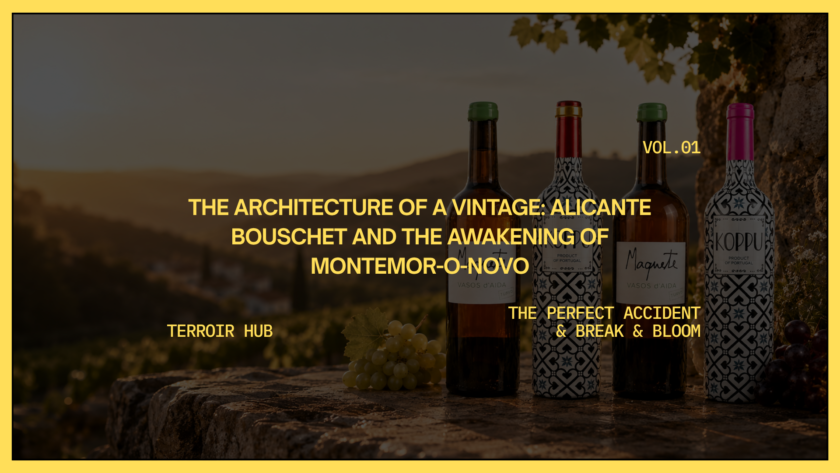 The Architecture of a Vintage Alicante Bouschet and the Awakening of Montemor-o-Novo