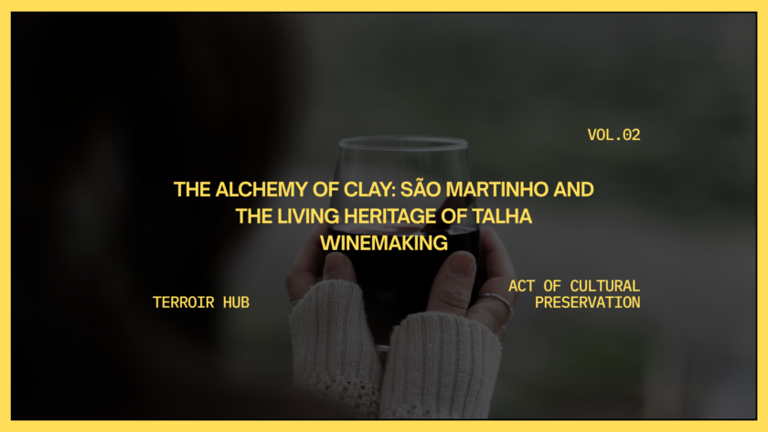 The Alchemy of Clay São Martinho and the Living Heritage of Talha Winemaking